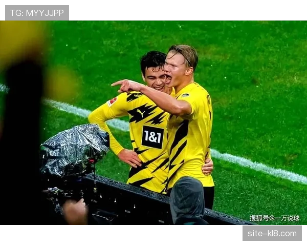 霍芬海姆与勒沃库森同积二十六分,欧战资格竞争陷入胶着 霍芬海姆与勒沃库森同积二十六分,欧战资格竞争陷入胶着